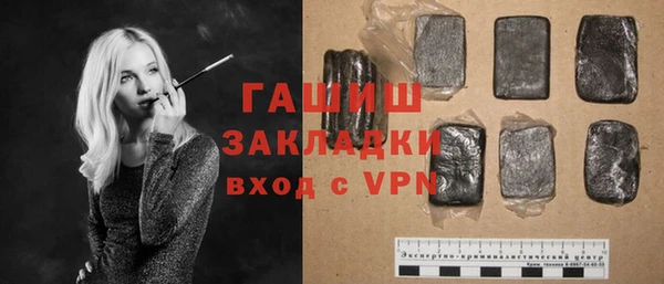 хмурый Алексин
