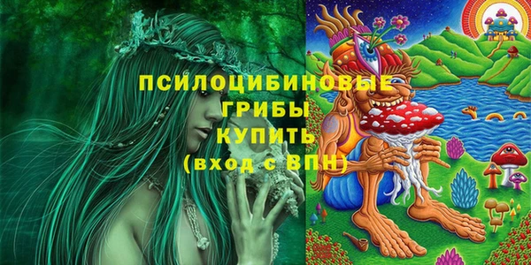 хмурый Алексин