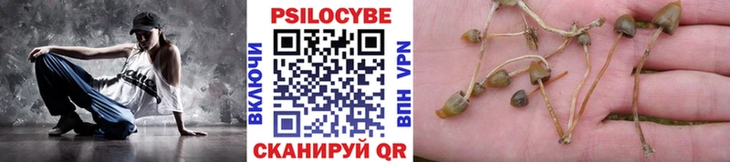 купить наркоту  Морозовск  Галлюциногенные грибы Magic Shrooms 