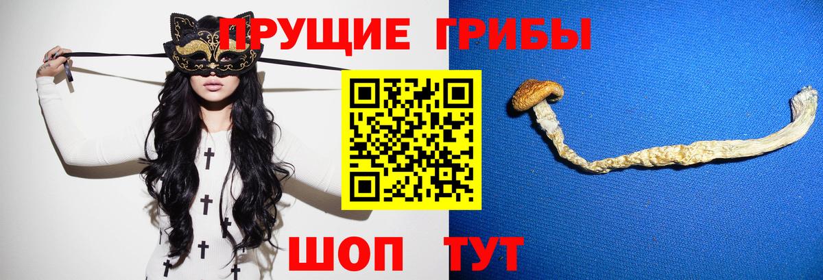 Псилоцибиновые грибы ЛСД  Вход с VPN  Морозовск 
